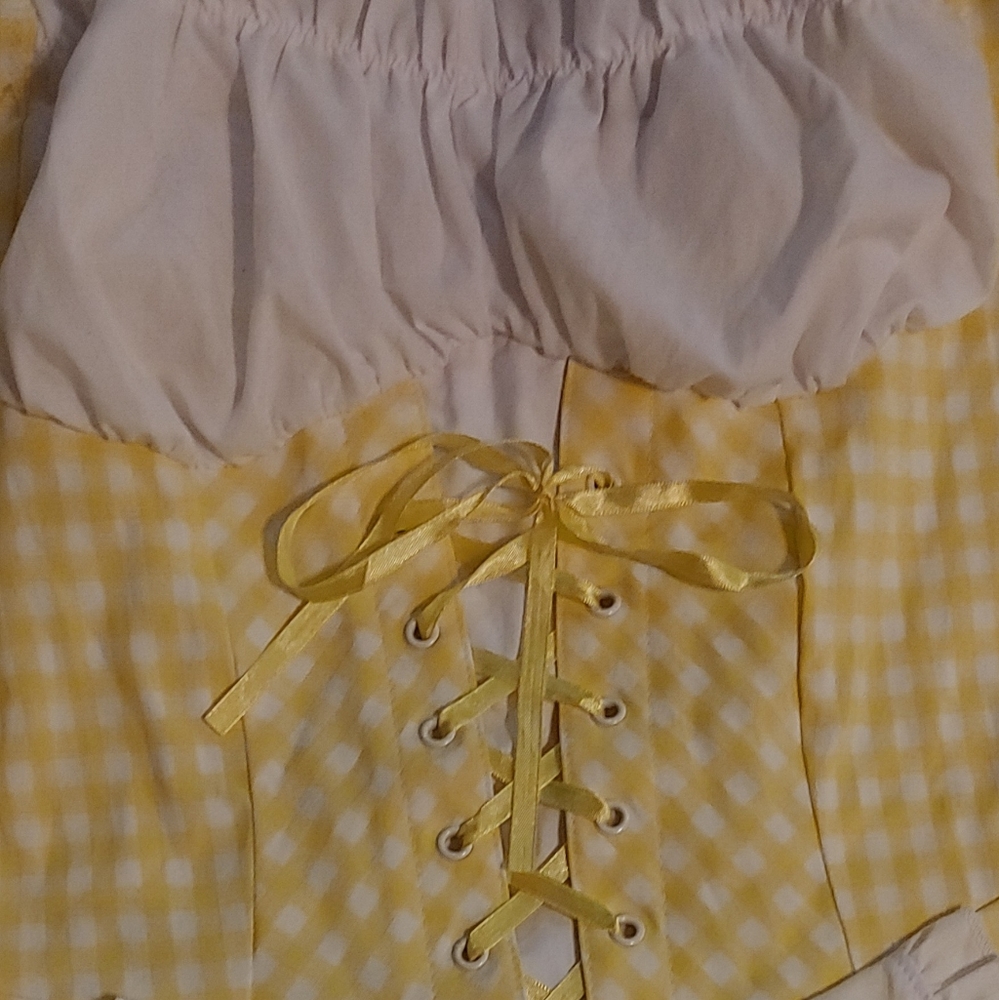 Sexy Barmaid costume